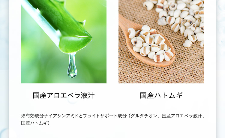 国産アロエベラ液汁 国産ハトムギ ※有効成分ナイアシンアミドとブライトサポート成分(グルタチオン、国産アロエベラ液汁、国産ハトムギ)
