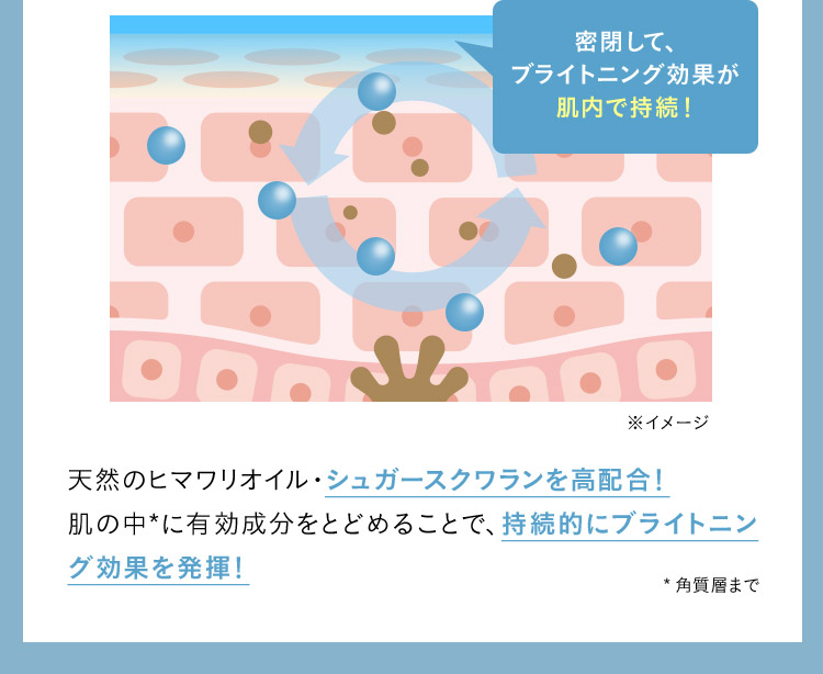 密閉して、ブライトニング効果が肌内で持続！ ※イメージ 天然のヒマワリオイル・シュガースクワランを高配合！肌の中に有効成分をとどめることで、持続的にブライトニング効果を発揮！ ✳︎角質層まで。