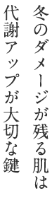冬のダメージが残る肌は 代謝アップが大切な鍵