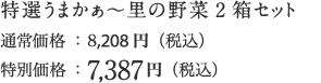 特選うまかぁ~里の野菜2箱セット