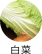 白菜
