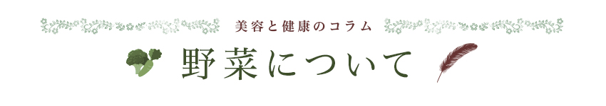 美容と健康のコラム 野菜について