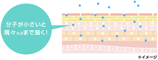 浸透型発酵コラーゲン液イメージ