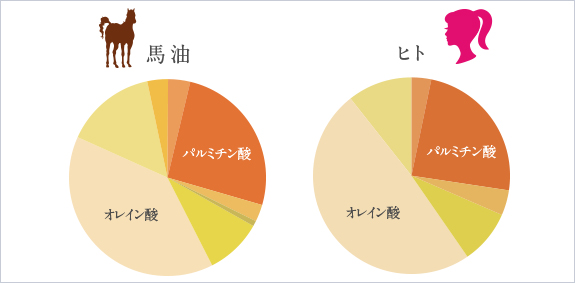 shirobayuイメージ