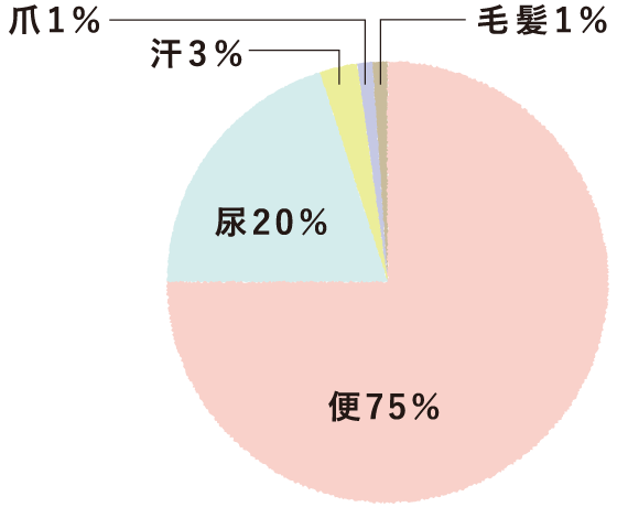 便75％、尿20％、汗3％、爪1％、毛髪1％