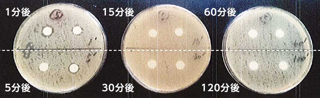 除菌用エタノールの除菌実験画像