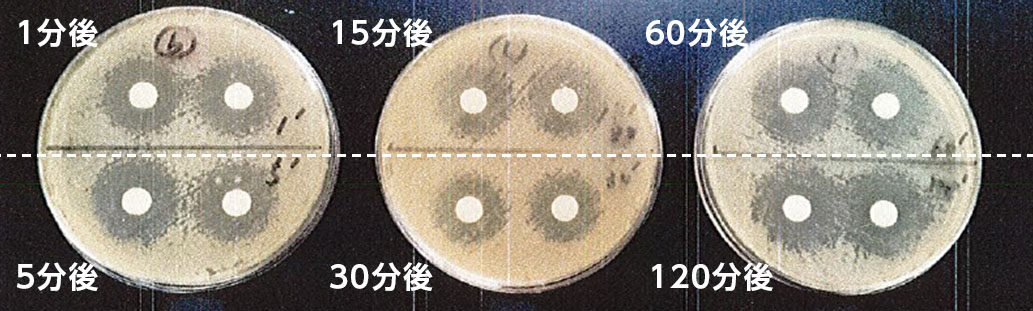 JOKIN・KOKINの除菌実験画像