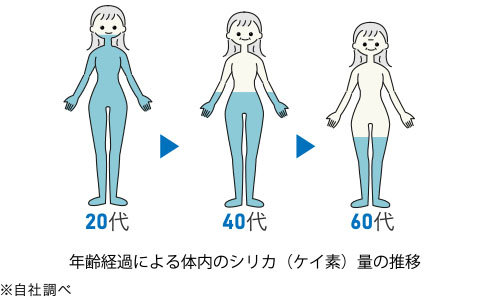 年齢経過による体内のシリカ（ケイ素）量の推移