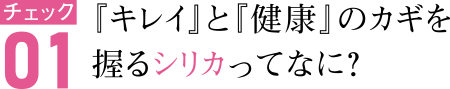 チェック01　『キレイ』と『健康』のカギを握るシリカってなに？