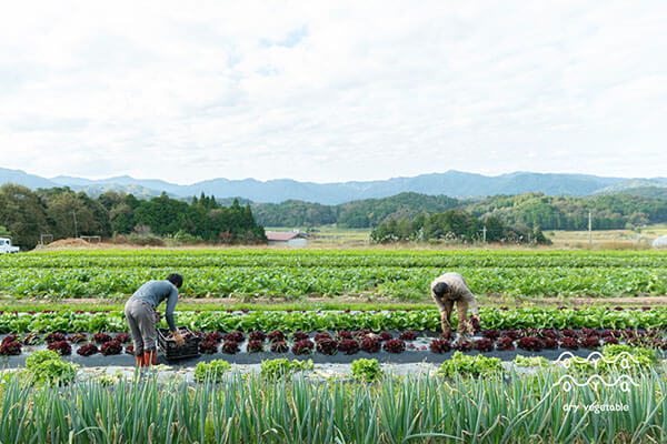 生産者