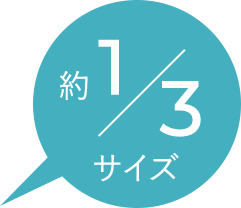 約1/3サイズ