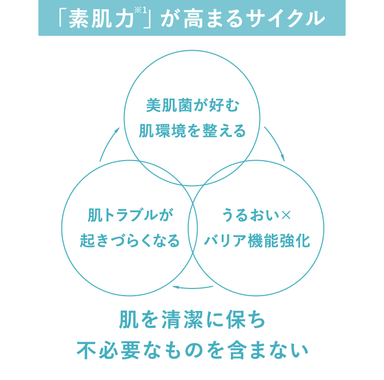 「素肌力」が高まるサイクル 肌を清潔に保ち不必要なものを含まない