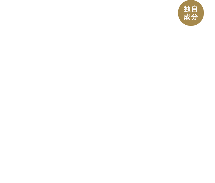 熟成ブラックハニー