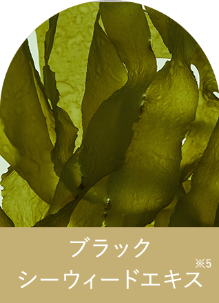 感想