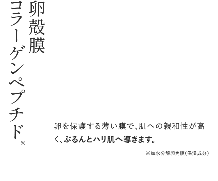 卵殼膜コラーゲンペプチド