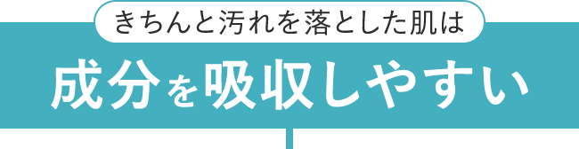 きちんと汚れを落とした肌は成分を吸収しやすい
