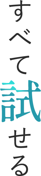 すすべて試せる