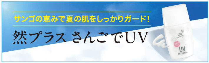 ボタン