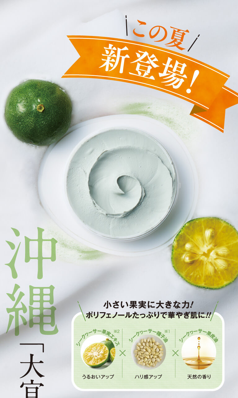 この夏新登場
