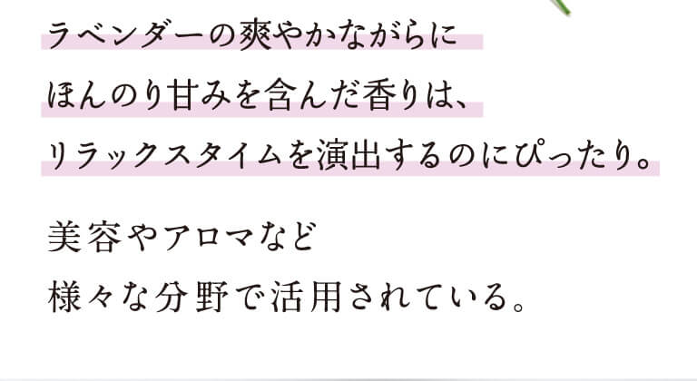 ハーブの女王と言われている