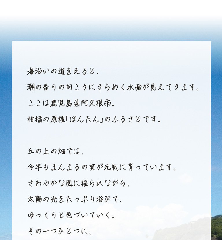 ぼんたん挨拶文