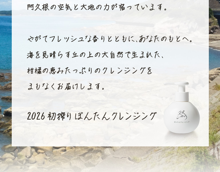 ぼんたん挨拶文