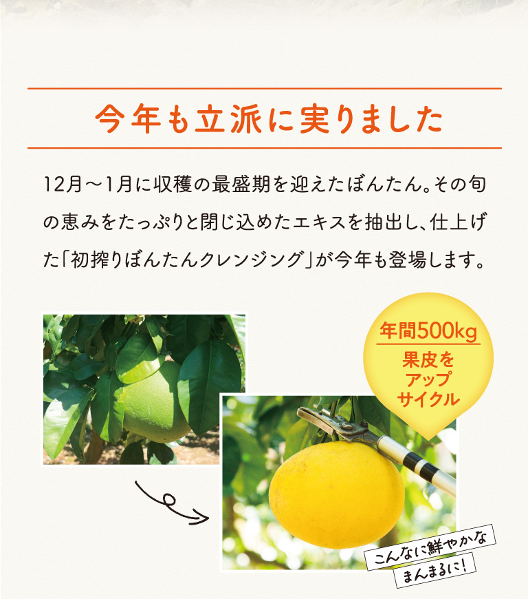 今年も立派に実りました