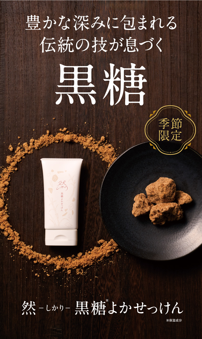 さああなたも2週間で