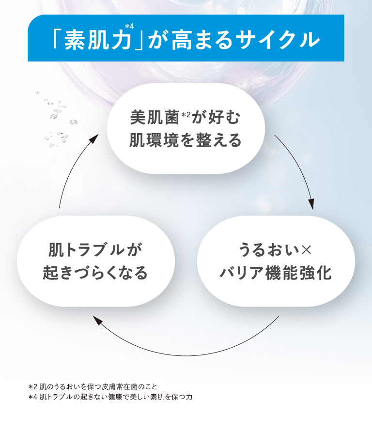 素肌力が高まるサイクル