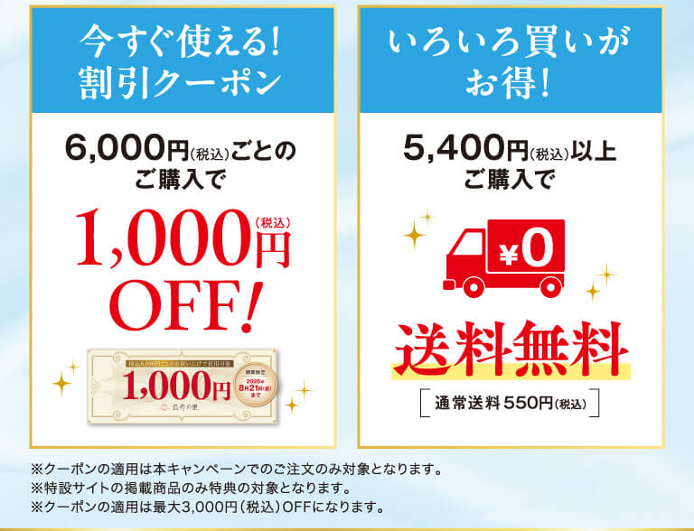 割引クーポンと送料無料
