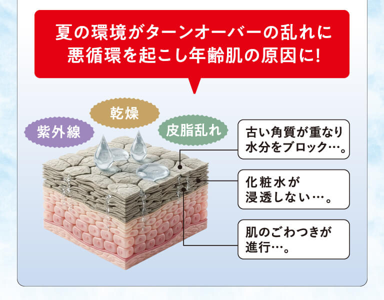 悪循環がターンオーバーの乱れに