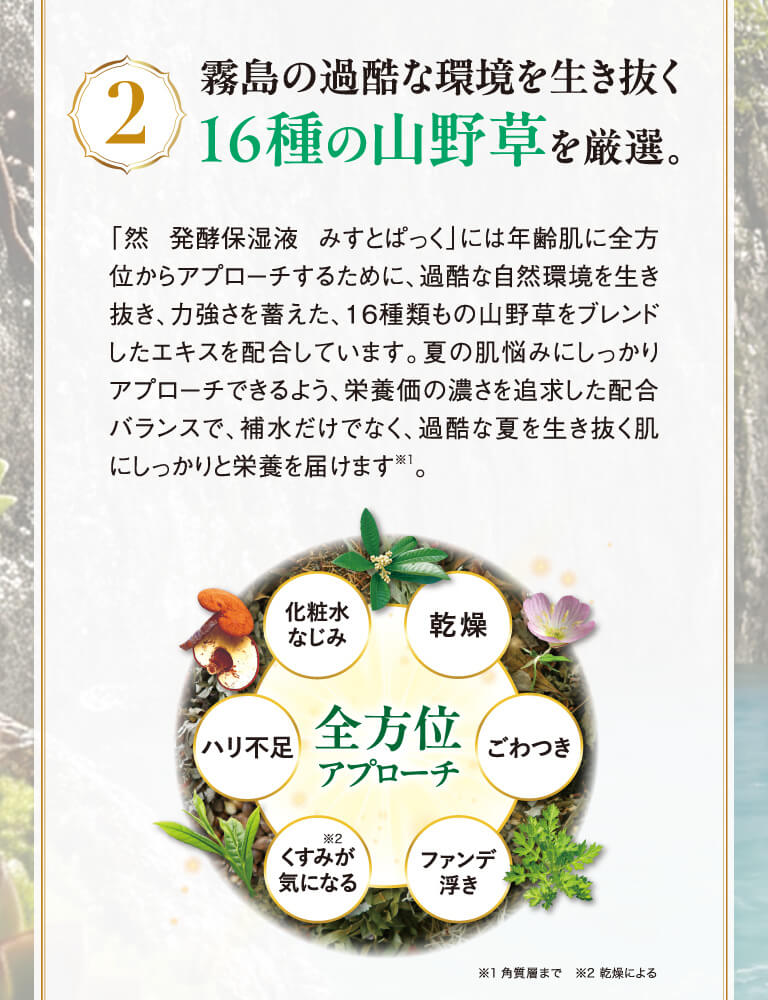 16種の山野草を厳選