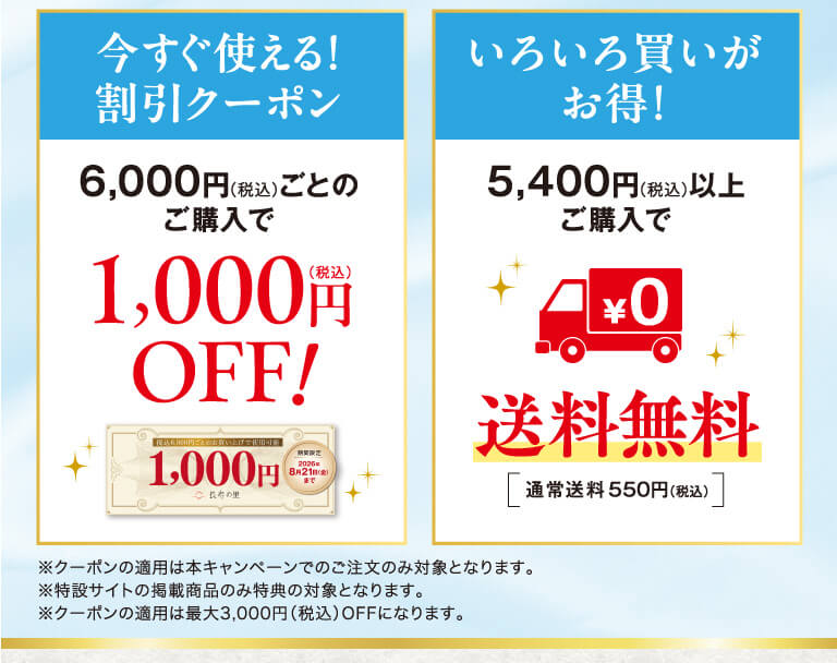 割引クーポンと送料無料