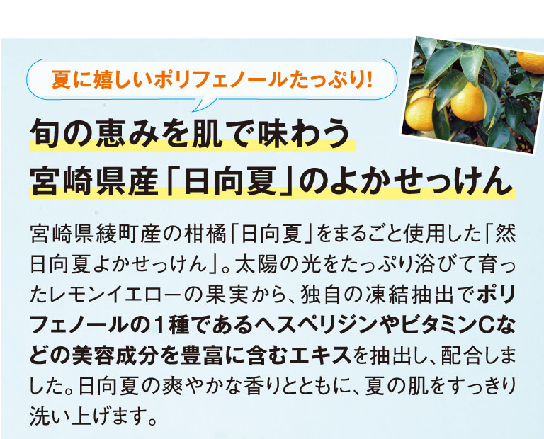 旬の恵を肌で味わう