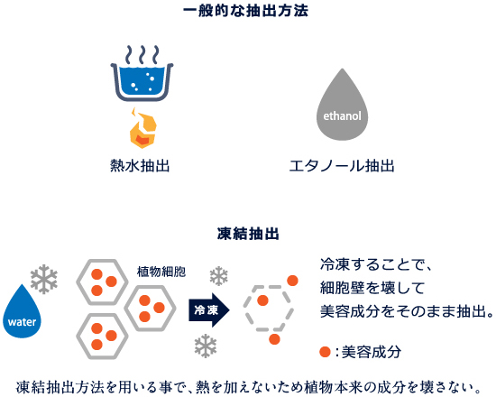 一般的な抽出方法 凍結抽出
