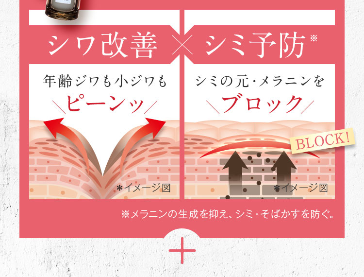 深いシワも小ジワもピーンッ