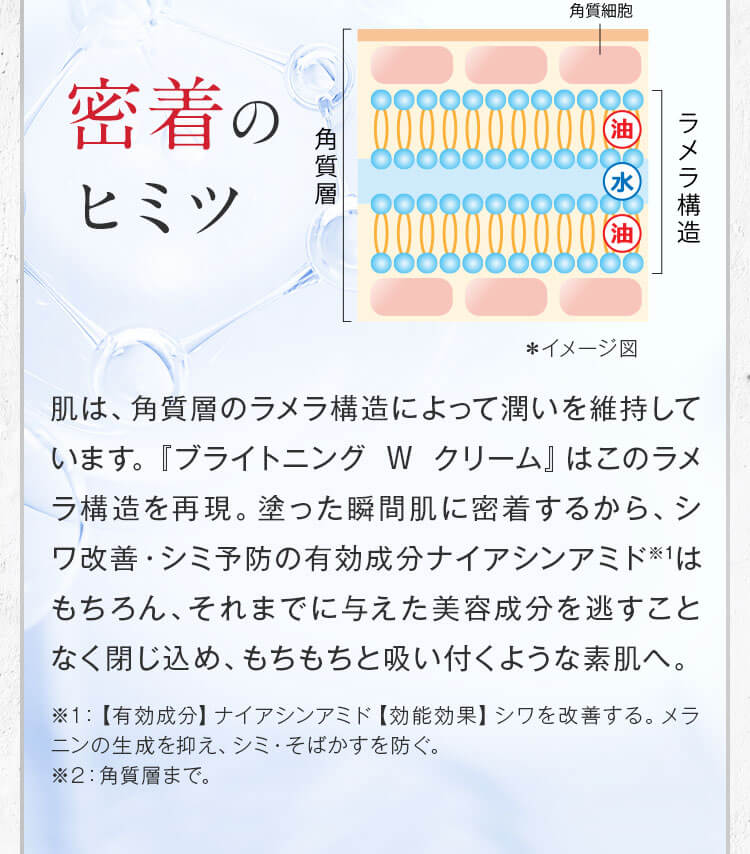 密着のヒミツ