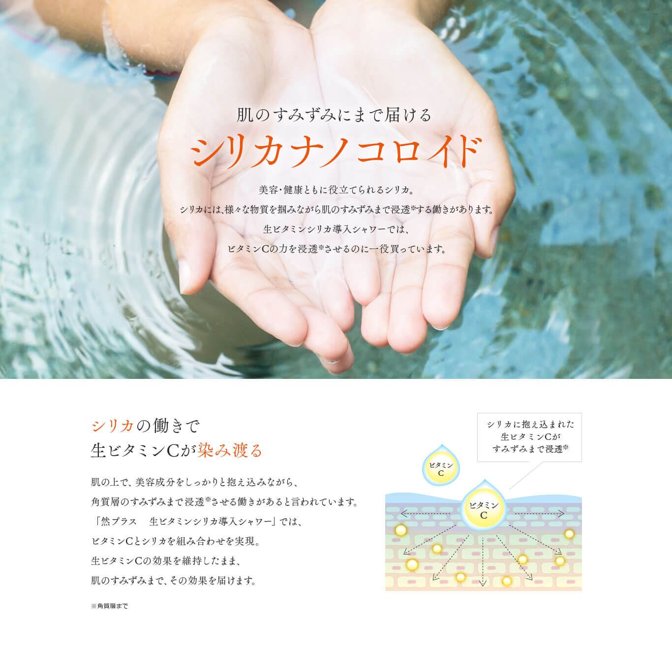然+生ビタミンシリカ導入シャワー　肌のすみずみにまで届けるシリカナノコロイド