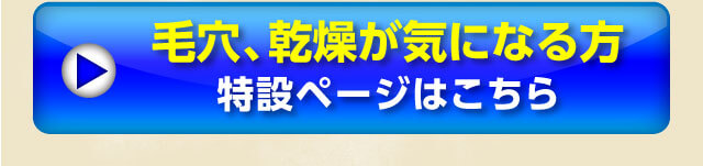 毛穴、乾燥が気になる方特設ページはこちら