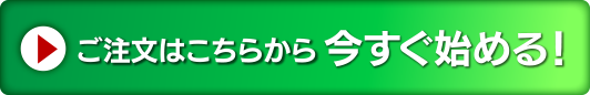 ご注文はこちらから今すぐ始める！