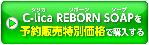 購入ボタン