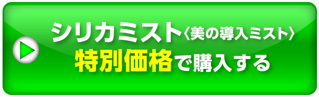 購入ボタン