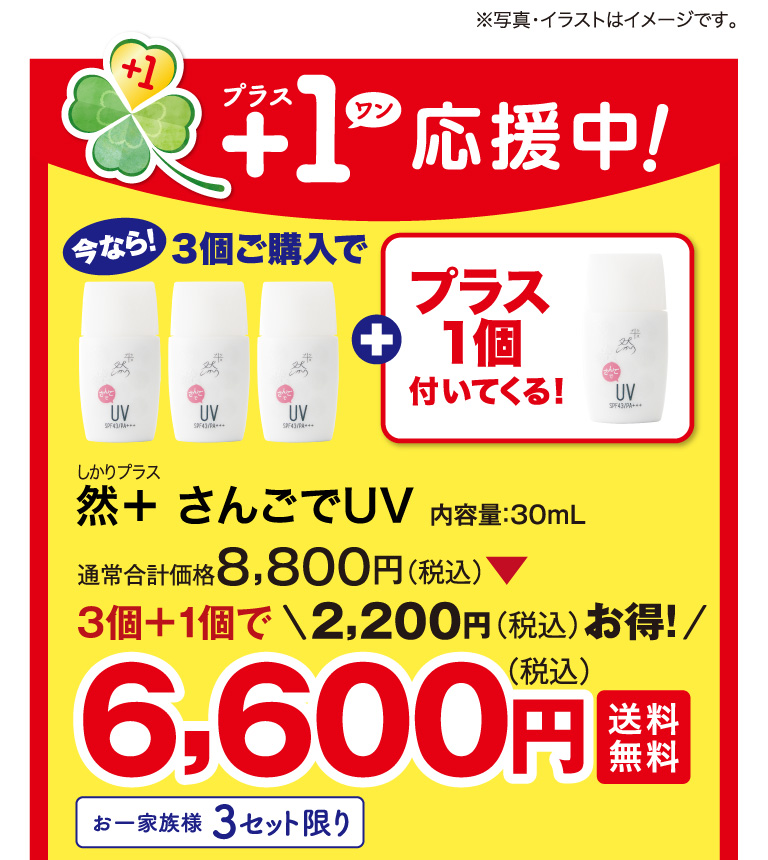 然+さんごでUV