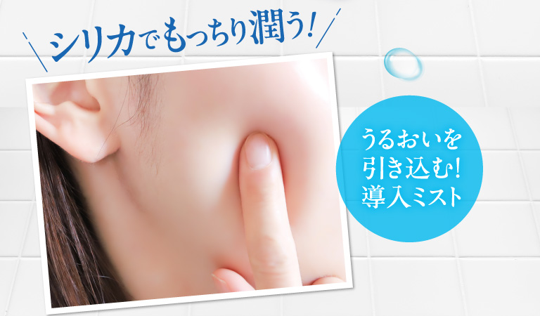 シリカでもっちり潤う