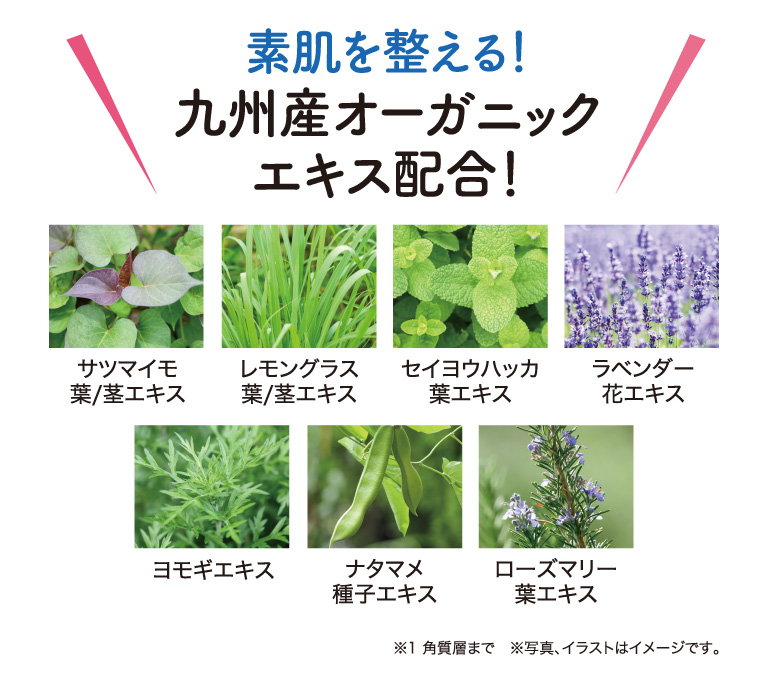 オーガニックエキス配合