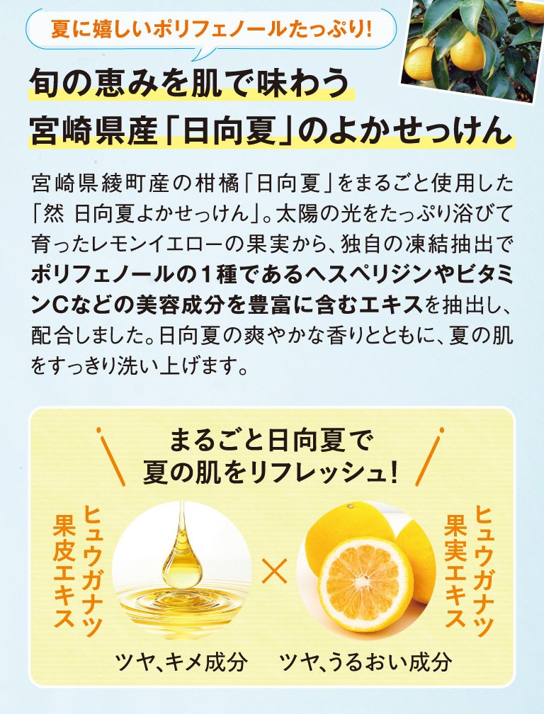 旬の恵を肌で味わう