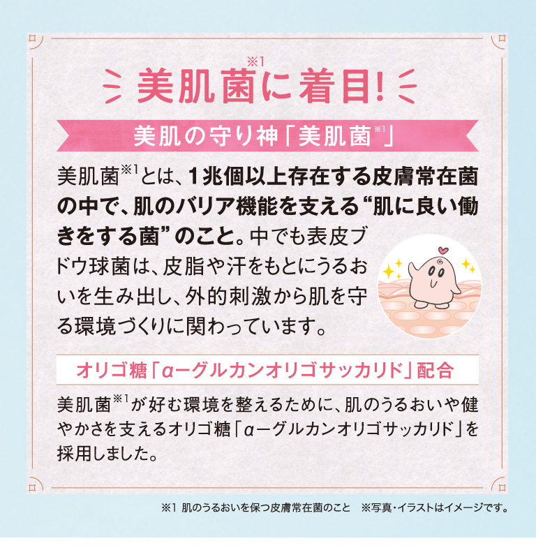 美肌菌に着目