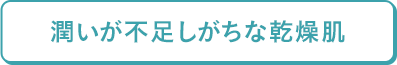 潤いが不足しがちな乾燥肌