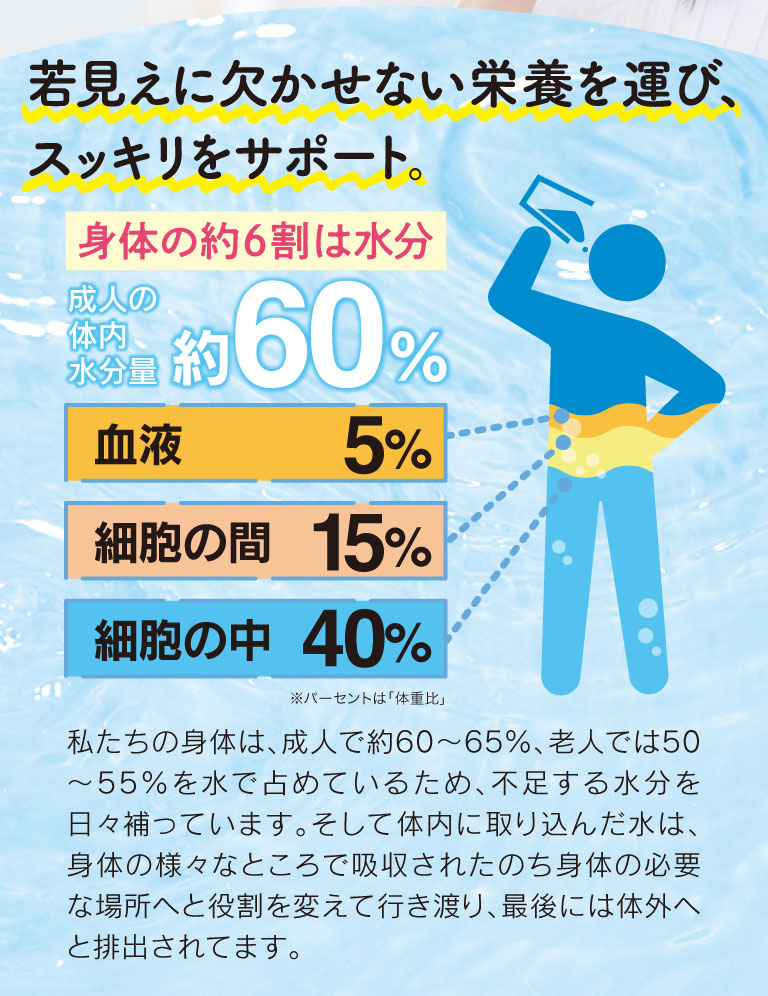 成人の体内水分量約60%