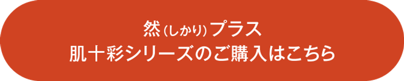 購入ボタン